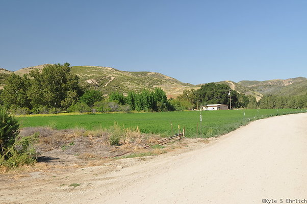 DSC 0796