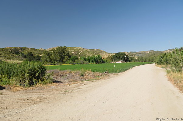DSC 0795