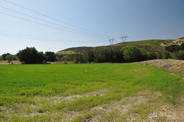 DSC 0812