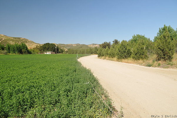 DSC 0794