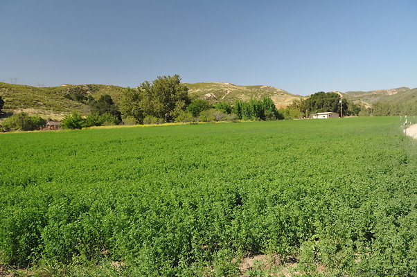 DSC 0789