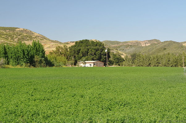 DSC 0785