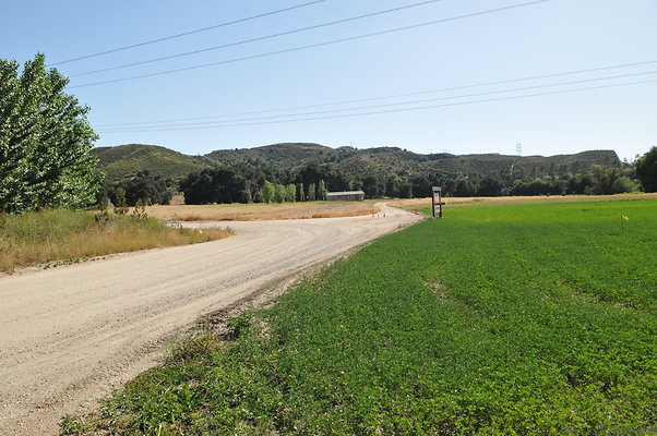 DSC 0810
