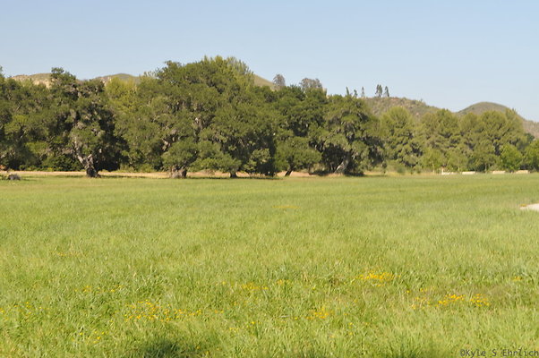 DSC 0779