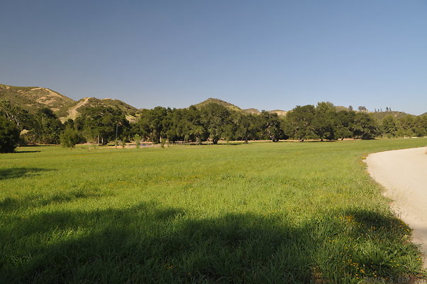 DSC 0772