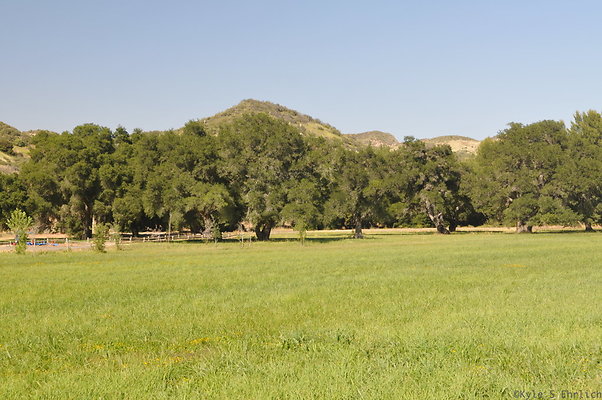 DSC 0773