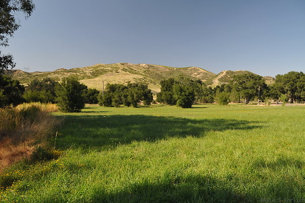 DSC 0780