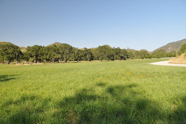 DSC 0777