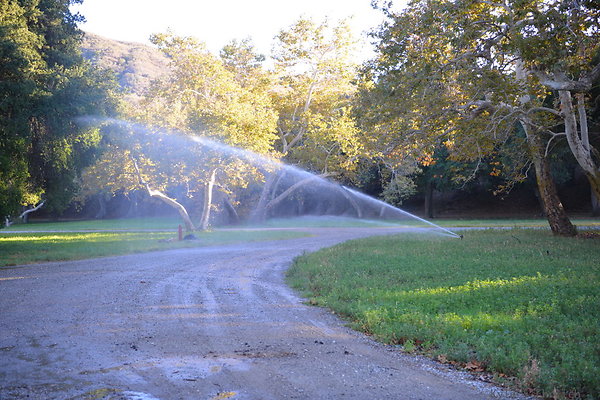 DSC 7888