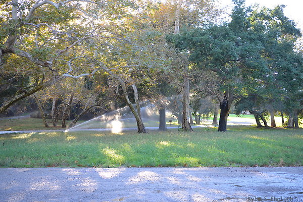 DSC 7895