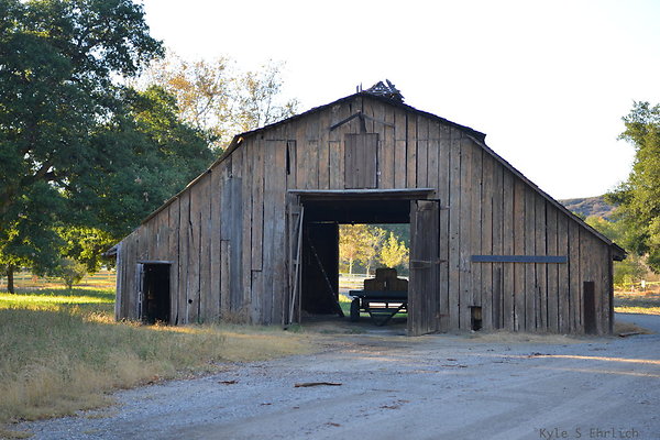DSC 7919