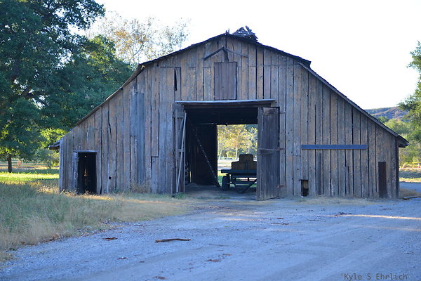 DSC 7945