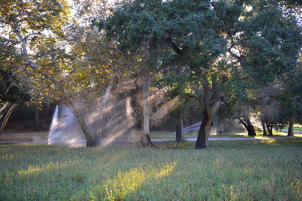 DSC 7883