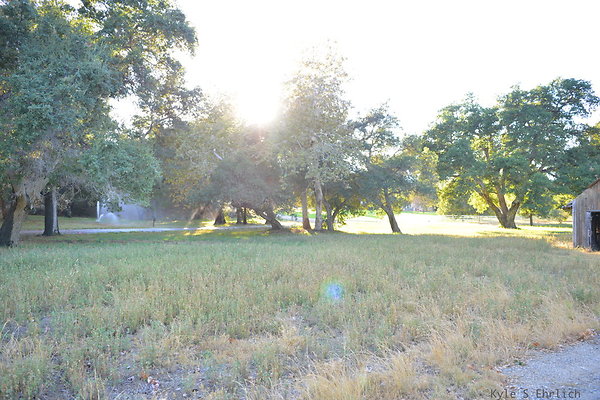 DSC 7932