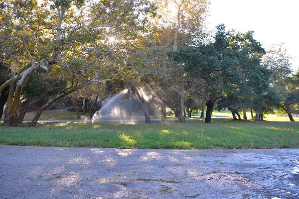 DSC 7898