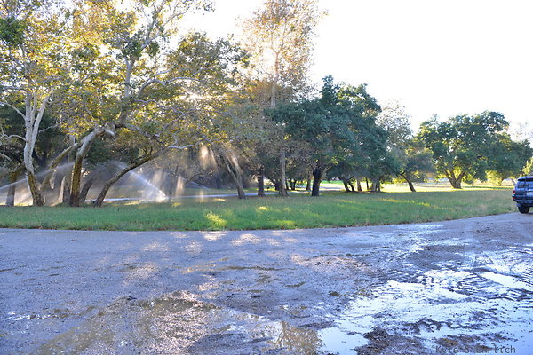DSC 7903