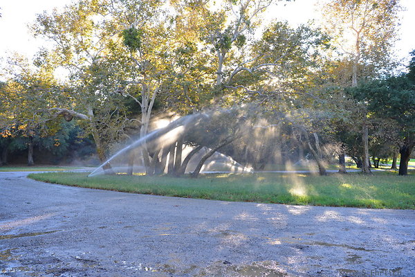 DSC 7910