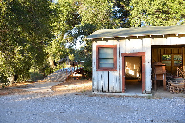 DSC 7935