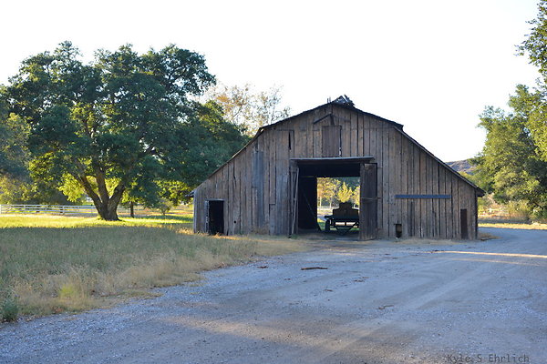 DSC 7918