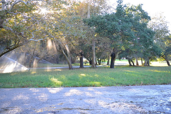 DSC 7905