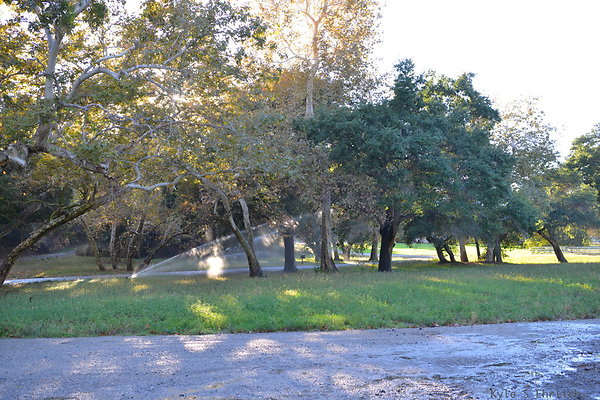 DSC 7894