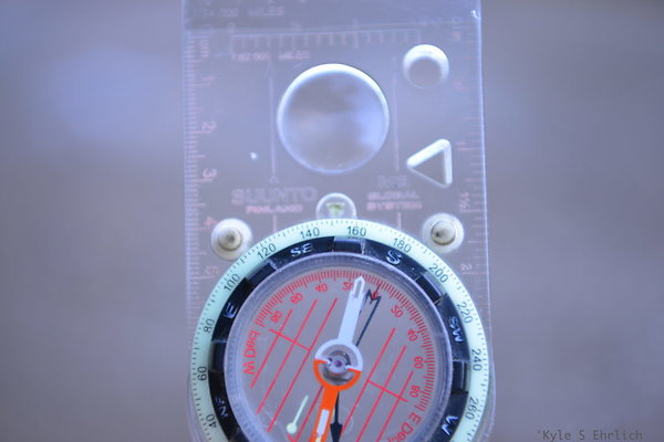 DSC 7886