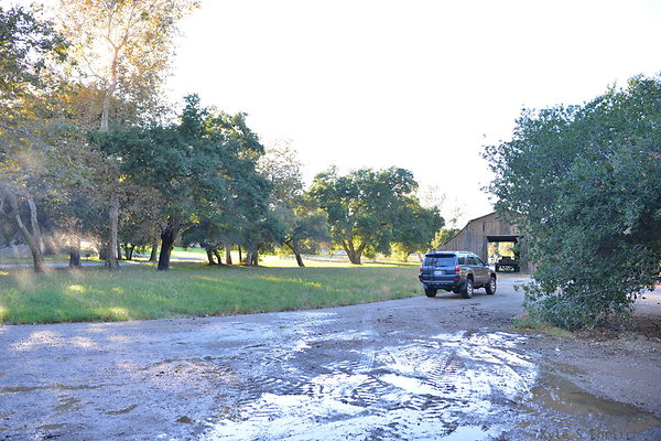 DSC 7911