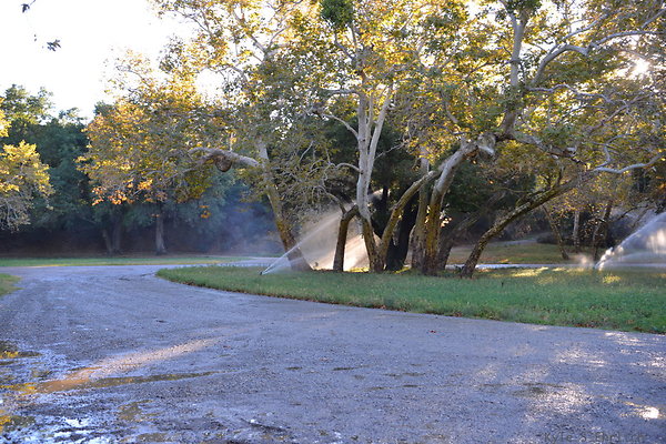 DSC 7897