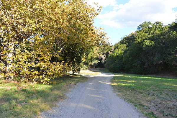 DSC 7468