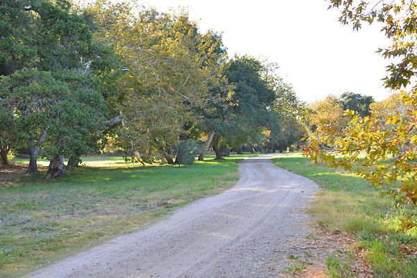 DSC 7445