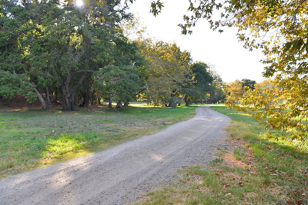 DSC 7447