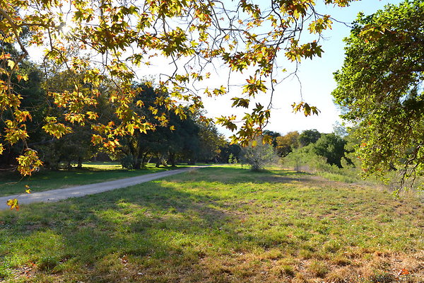 DSC 7453