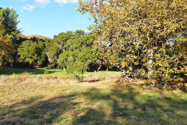 DSC 7467