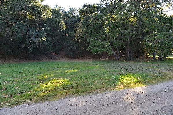 DSC 7446