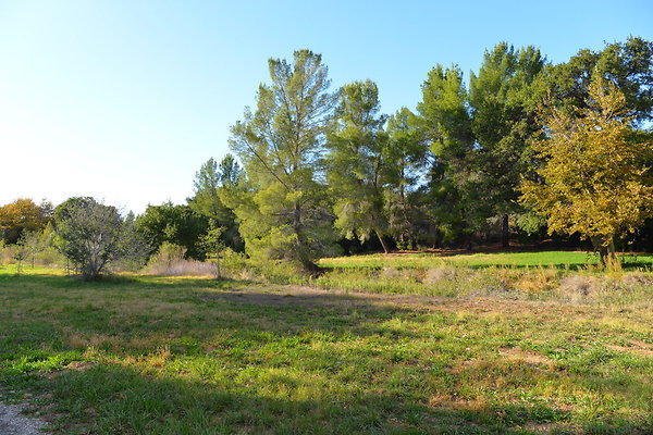 DSC 7465