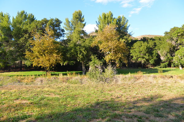 DSC 7466