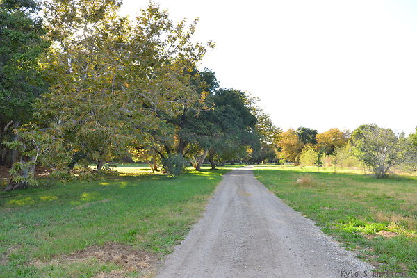 DSC 7464