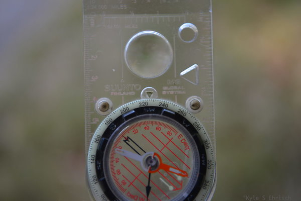 DSC 7443