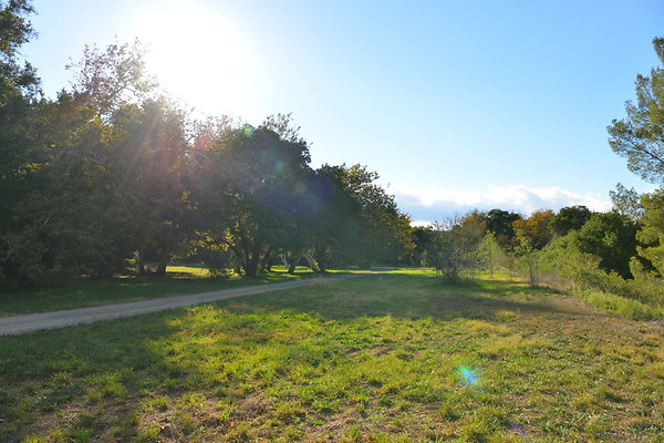 DSC 7459