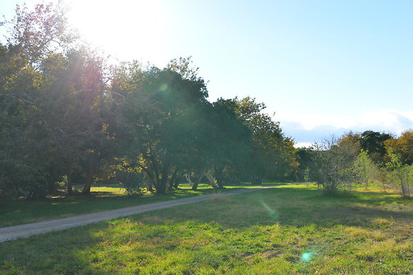 DSC 7457
