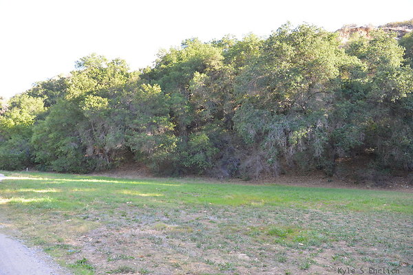 DSC 7469