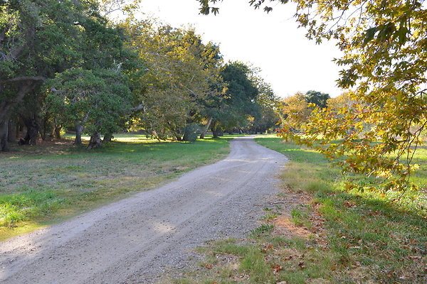 DSC 7444