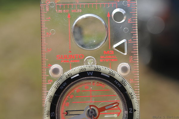 DSC 5958