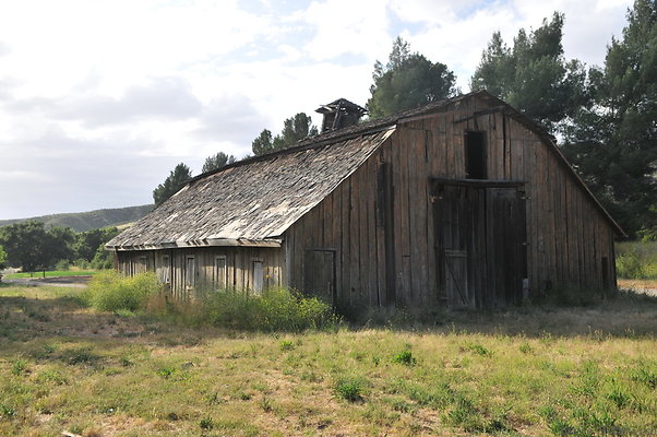 DSC 5981