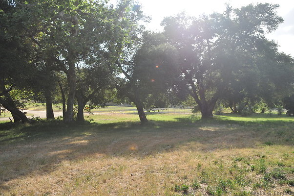 DSC 5980