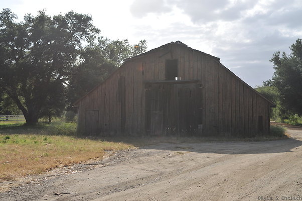 DSC 5975
