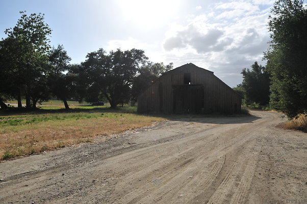 DSC 5973