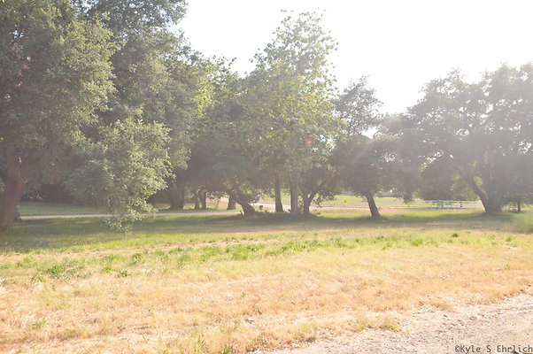 DSC 5979