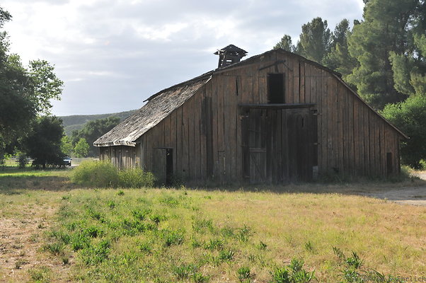 DSC 5969