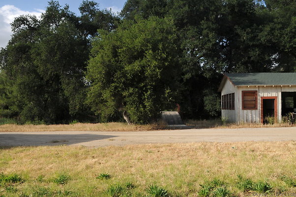 DSC 5982